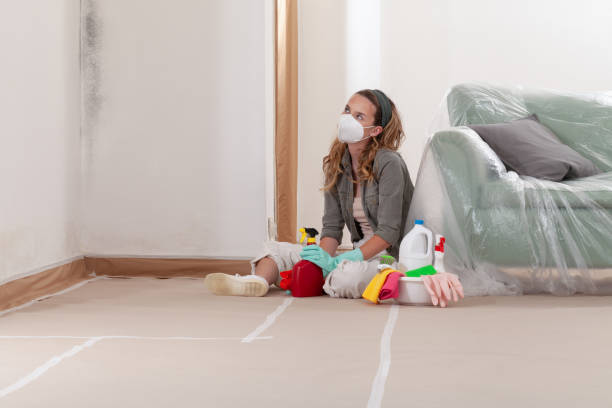 Reliable Mold Remediation contractor in Washougal, WA by 24 Hour Mold Removal